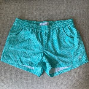 Carve Designs Teal Swim Shorts